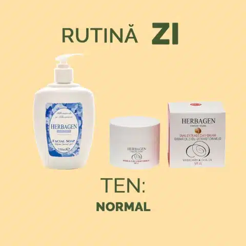 Rutină ZI pentru ten normal